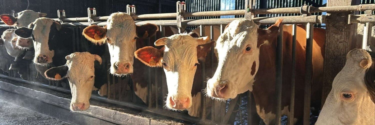 Bannière de Ferme MonPlaisir