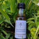 Sirop de printemps - Bouteille en verre 100mL