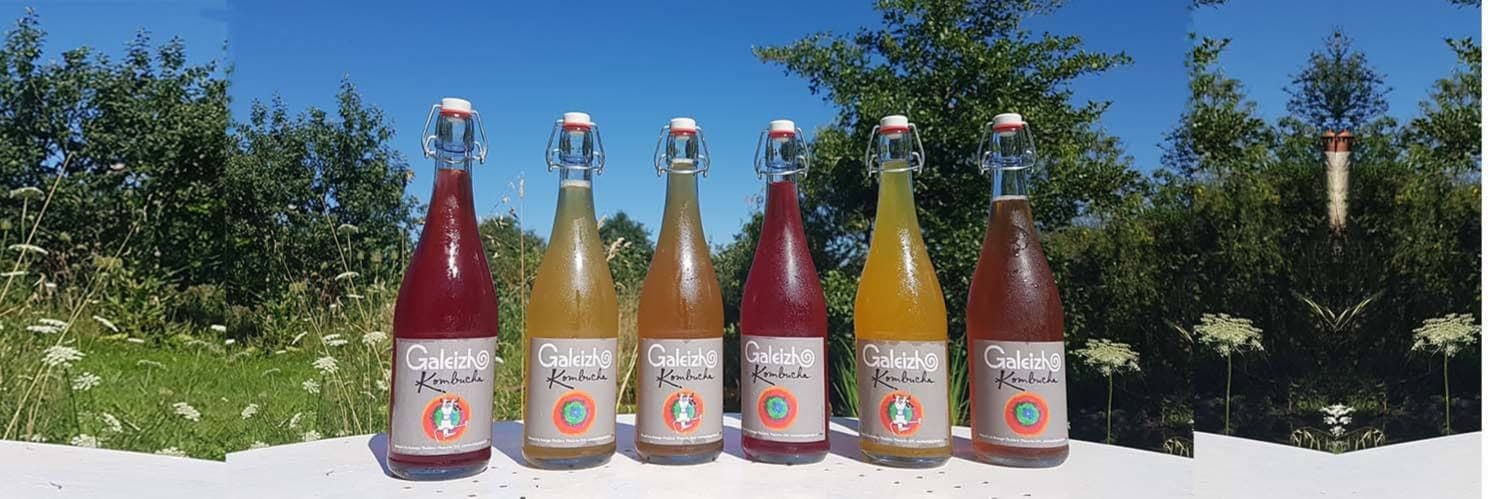 Bannière de Galeizh Kombucha