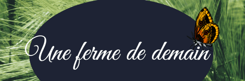 Bannière de Une ferme de Demain. porc noir