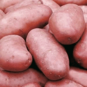 Pommes de terre Rosabelle