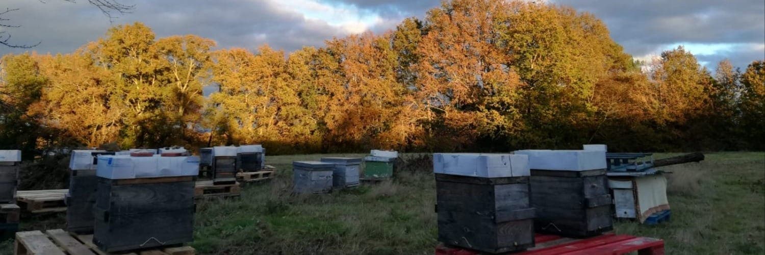 Bannière de Pablo Vioque - Apiculture