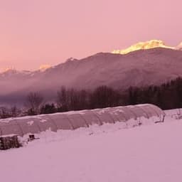 Le Jardin à Emporter Le Jardin à Emporter #8