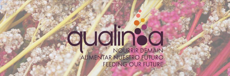 Bannière de QUALINOA