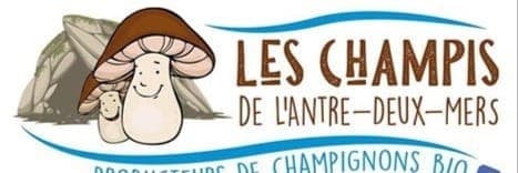 Bannière de Les champis de l'Antre-deux-Mers