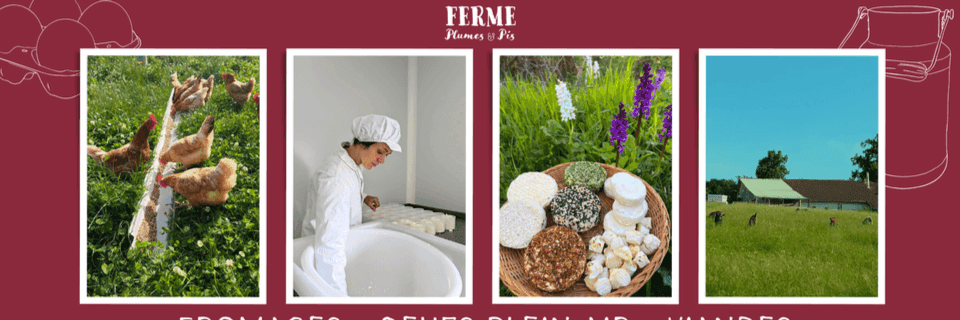 Bannière de Ferme Plumes et Pis