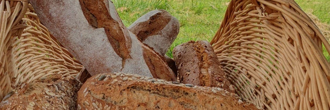 Bannière de Adi PAINS 24