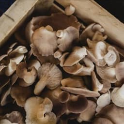 l'orée de Sologne  l'orée de Sologne  #0