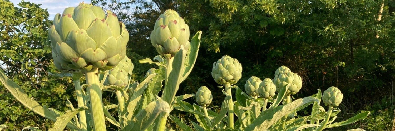 Bannière de Les Jardins Garonnais