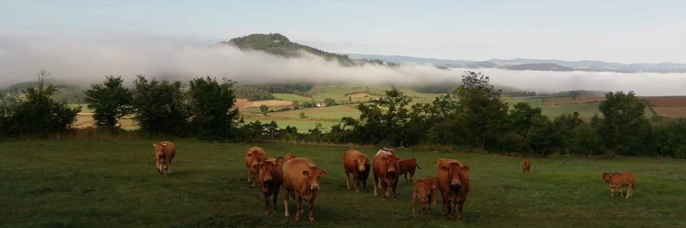 Bannière de La Ferme du Clapou - Gaec du Clapou