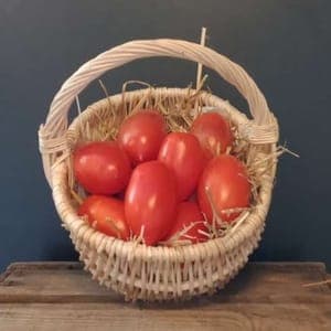 Tomates de variétés anciennes