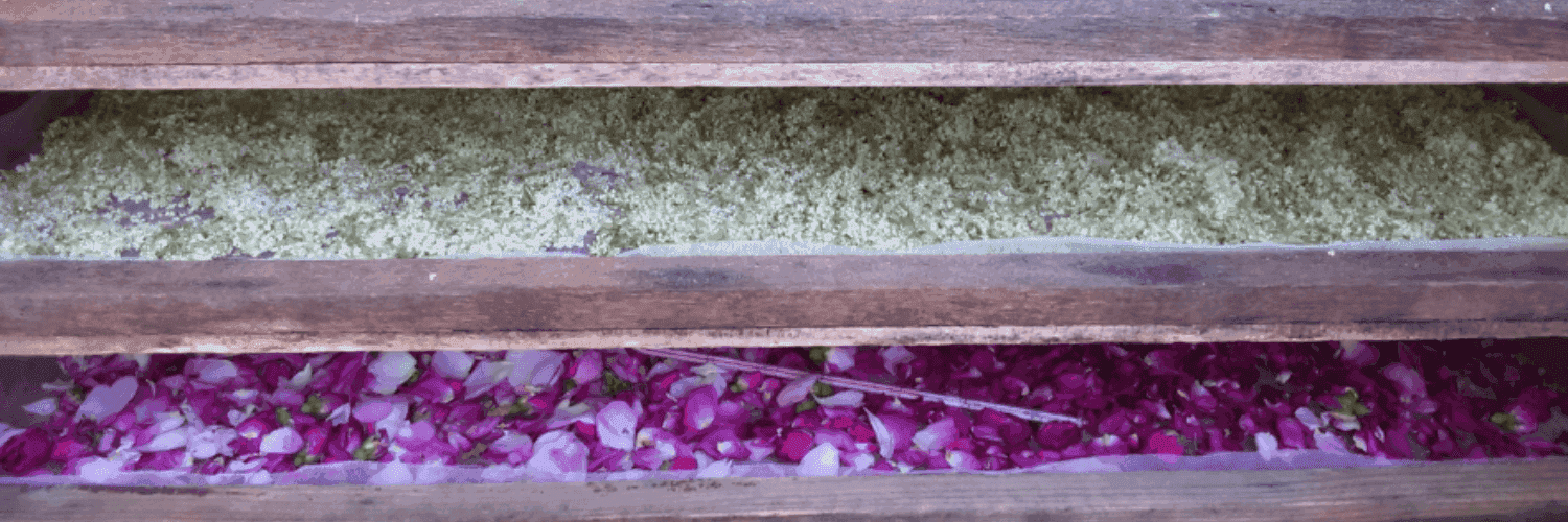 Bannière de Aux Herbes et caetera !