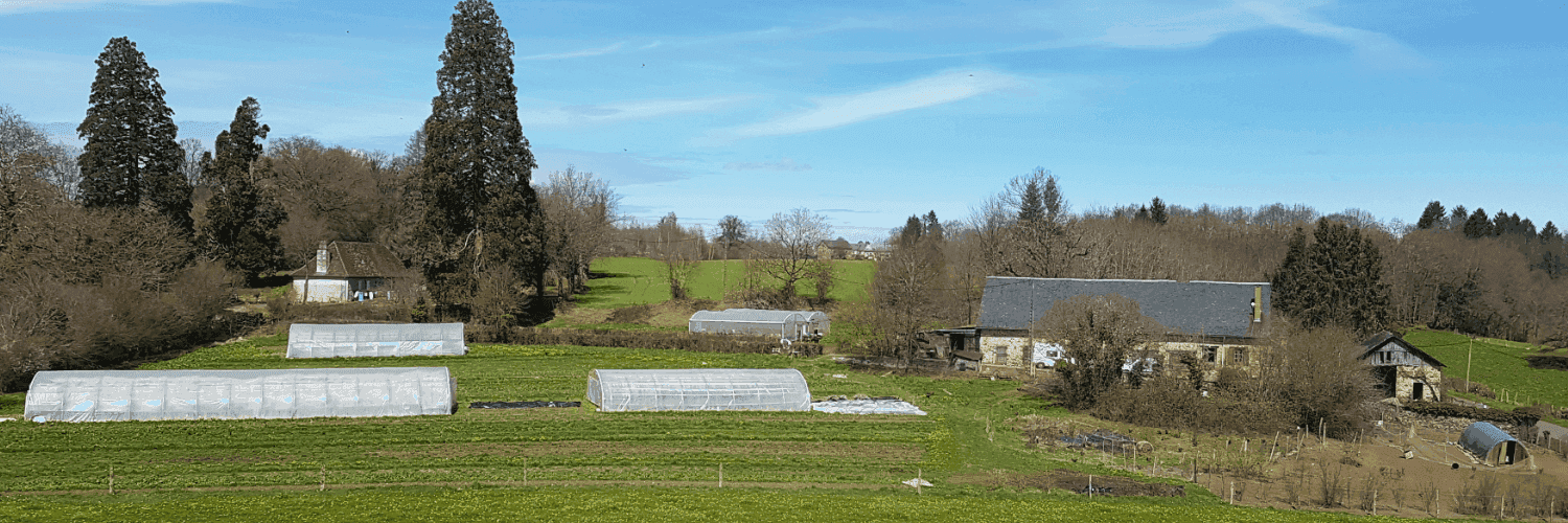 Bannière de Paula et Martin Molle
