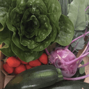 Panier de légumes - De la semaine