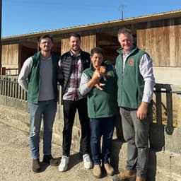 Lambaudie porc Lambaudie porc #1