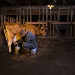 Eric Cottineau Eric Cottineau #3