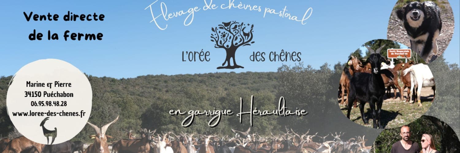 Bannière de Ferme l'Orée des Chênes