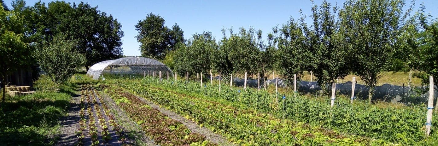 Bannière de Les jardins de Petite Lande
