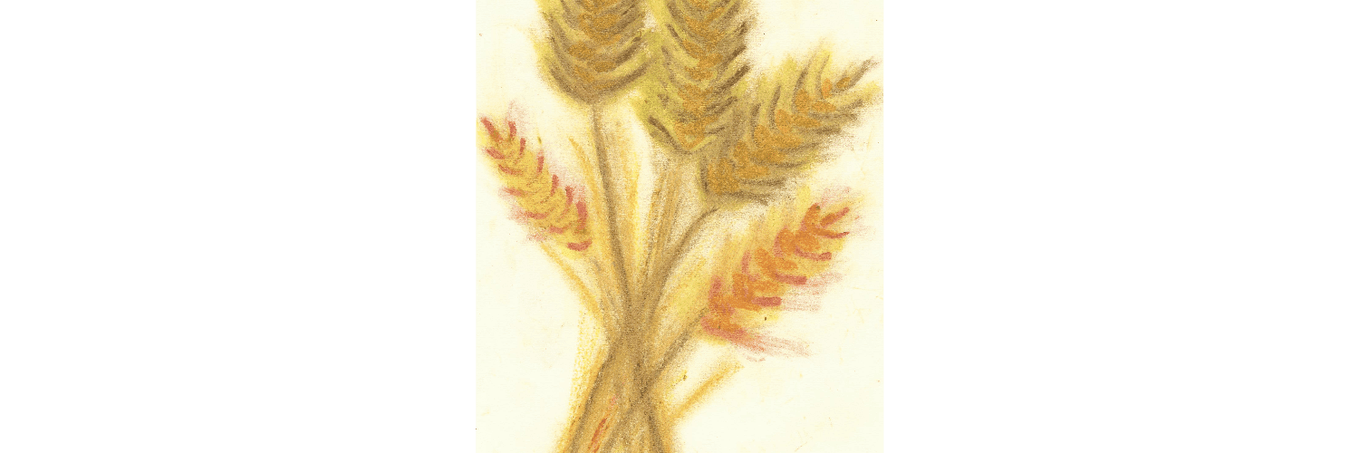 Bannière de Côté PAIN