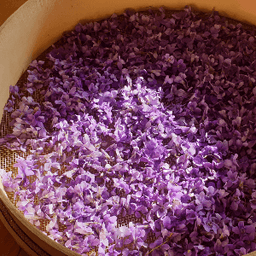 Les Jardins de Louise Les Jardins de Louise #8