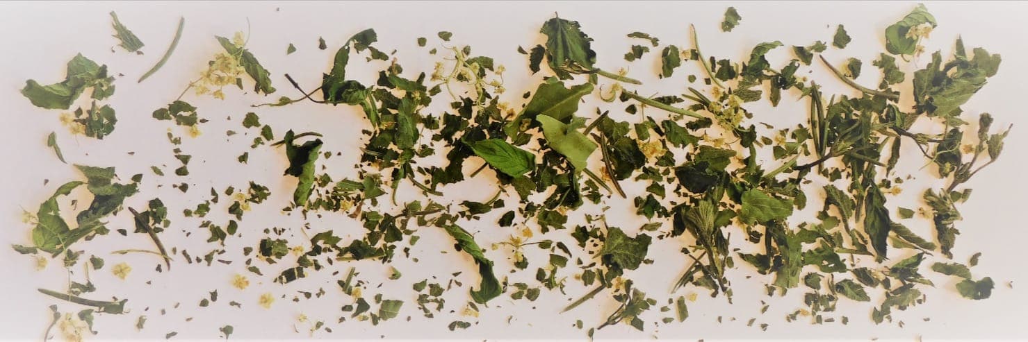 Bannière de EN ROBE DES CHAMPS