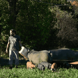 Campagne CO Campagne CO #7