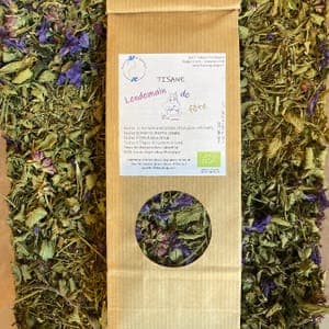 Tisane Lendemain de Fête