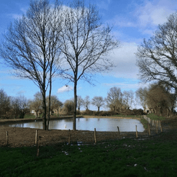 GAEC Éleveurs Cueilleurs GAEC Éleveurs Cueilleurs #5