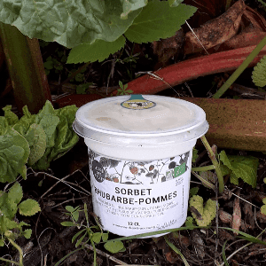 sorbet rhubarbe-pomme