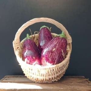 Aubergine