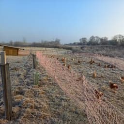 Lacampagne Lacampagne #2