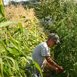 La terre d'Eglandouille La terre d'Eglandouille #8