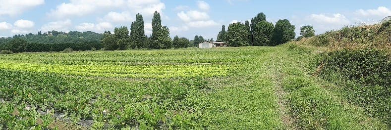Bannière de Ferme Larqué