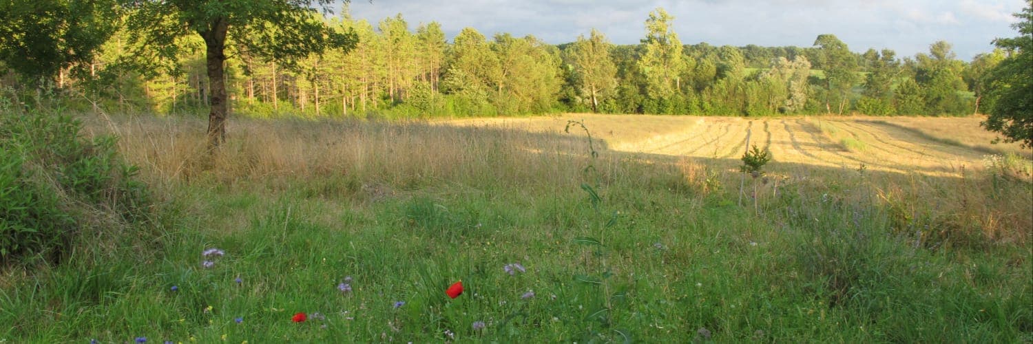 Bannière de La Ferme du Pic et Colegram (EARL Rayet)