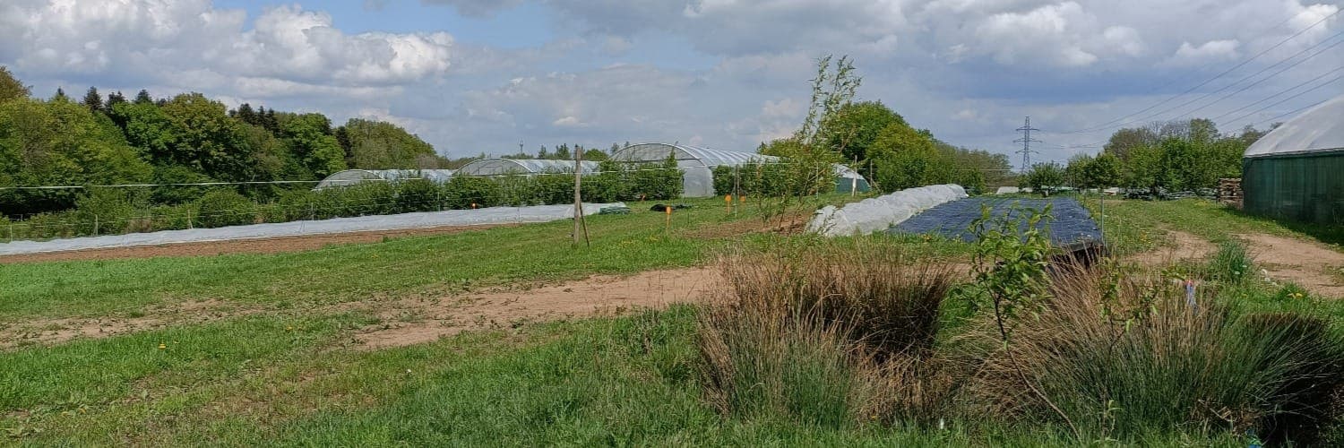Bannière de GAEC Aux sons du potager