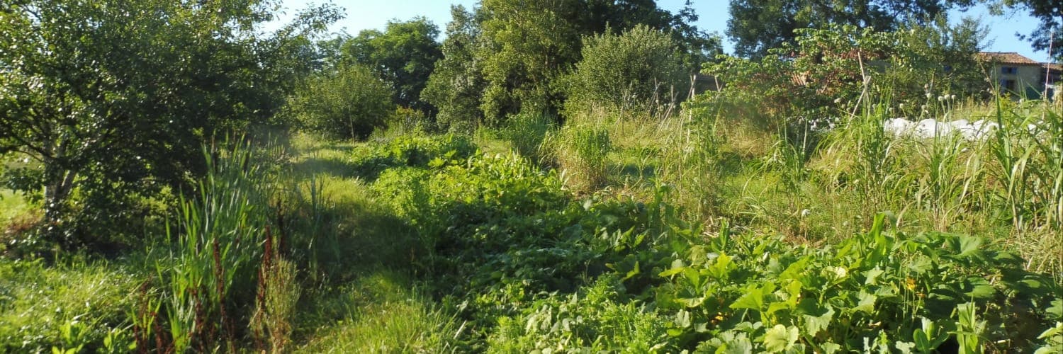 Bannière de La ferme du jardin de pluie