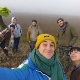 Au marais sage Au marais sage #3