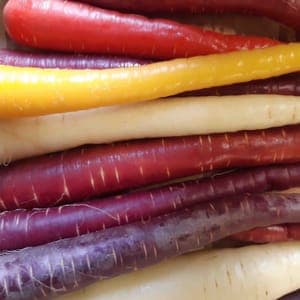 CAROTTES COULEURS (mix blanc, violet, jaune, orange)