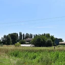 Le petit potager d' Aheli  Le petit potager d' Aheli  #7