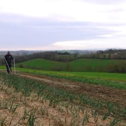 Les jardins de Freya Les jardins de Freya #5