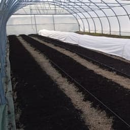 Les Jardins de Falune Les Jardins de Falune #5