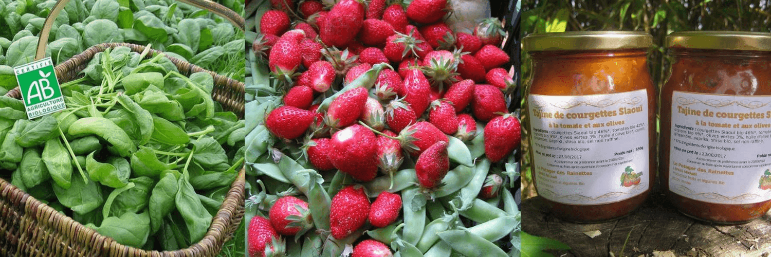 Bannière de Le Potager des Rainettes