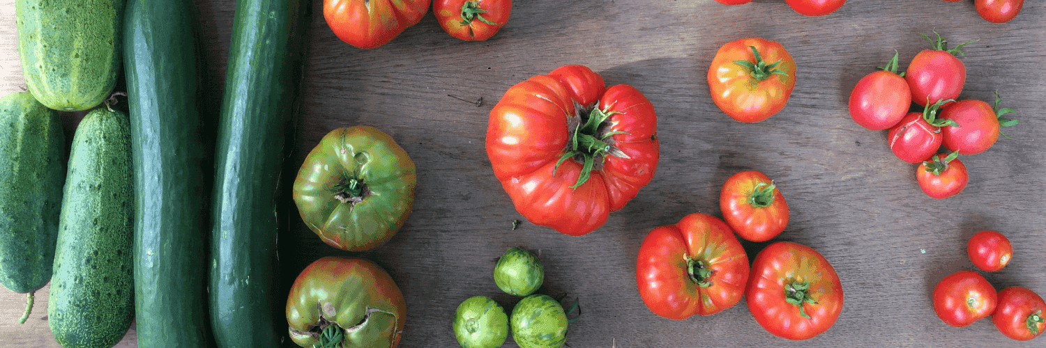 Bannière de La Ferme des Ours