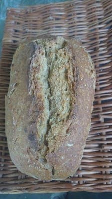 Pain petit épeautre