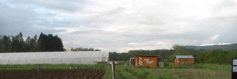 Bannière de EARL Les Jardins de Saint Germain