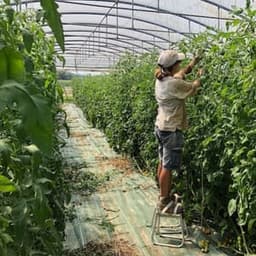 Au lapin maraicher Au lapin maraicher #7