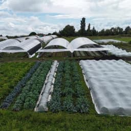 La Cybouclette La Cybouclette #3