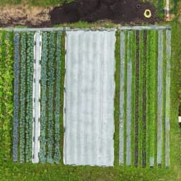 La Cybouclette La Cybouclette #4