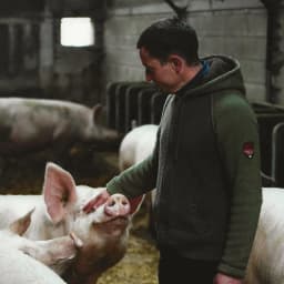 Les Bons Cochons du Bois Gasnier Les Bons Cochons du Bois Gasnier #3