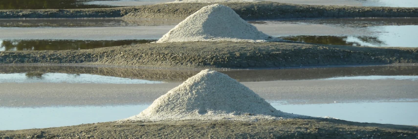 Bannière de Les Cholleaux Marais Salants